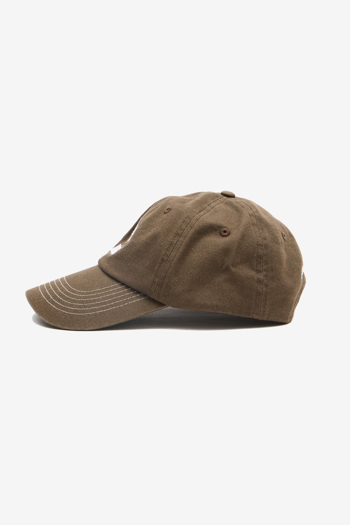 AFENDS BURNIN SIX PANEL CAP - VINTAGE FOSSIL