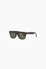 SZADE Hardy Sunglasses - Tort Gloss Green (Wasp/Moss Polarised) 2