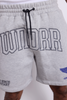WNDRR Riot Tech Trackshort - Grey Marle model