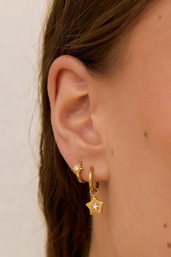Arms of Eve Goldie Earrings - Stone