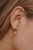 KIRSTIN ASH JEWELLERY KIRSTIN ASH HONOUR HOOPS- 18K GOLD VERMEIL