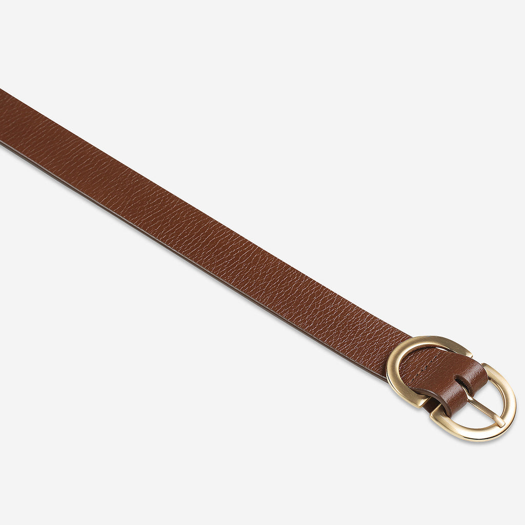 Status Anxiety In Reverse Belt - Tan/Gold