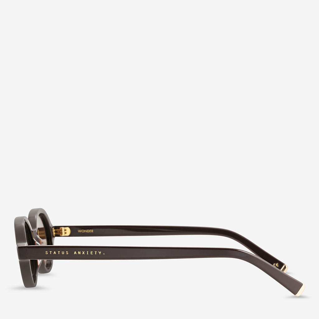 Status Anxiety Wonder Sunglasses - Espresso/Gold