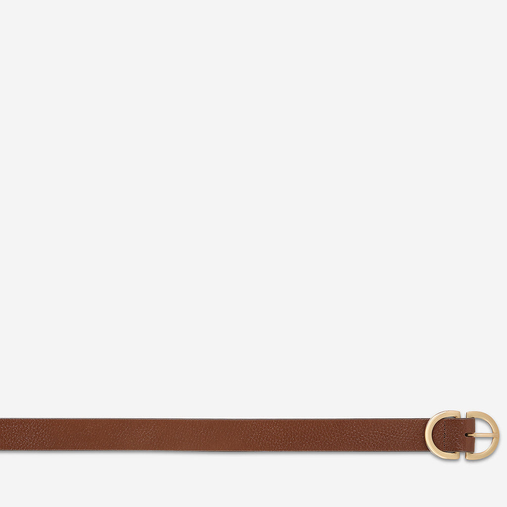 Status Anxiety In Reverse Belt - Tan/Gold