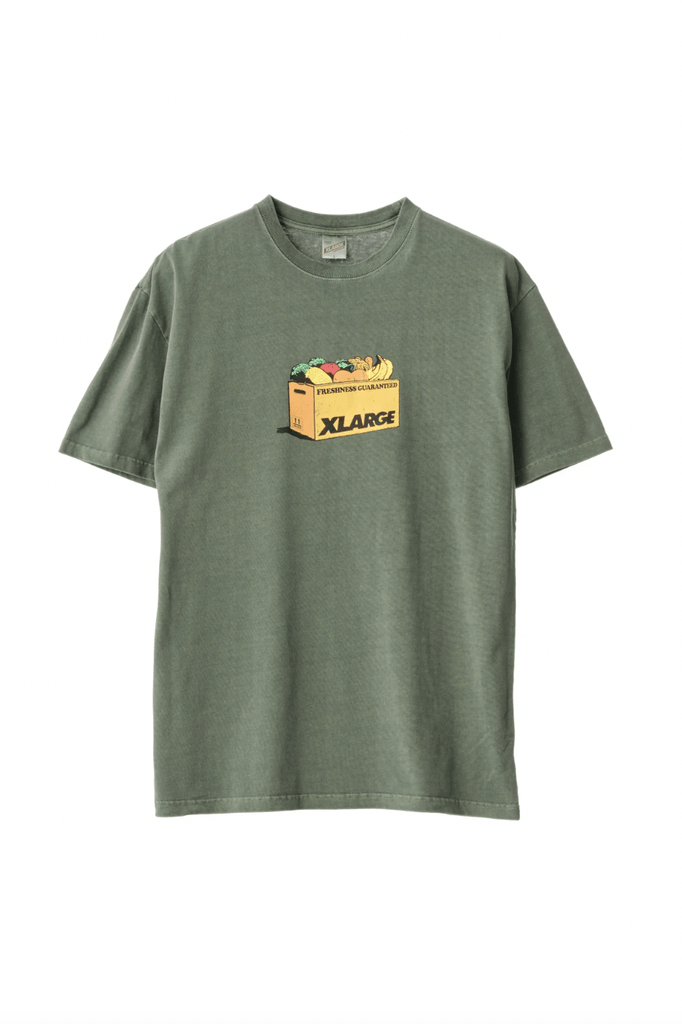 X-LARGE MENS T-SHIRTS X-LARGE FRESHNESS SS TEE - PIGMENT FORREST