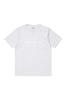 CARHARTT TEES CARHARTT WIP SCRIPT TEE - GREY/WHITE