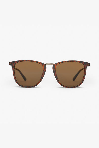LOCAL SUPPLY SUNGLASSES LOCAL SUPPLY NYC - TORT/BROWN