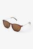 LOCAL SUPPLY SUNGLASSES LOCAL SUPPLY PER - TORT/BROWN