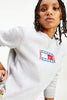 TOMMY JEANS HOODIES TOMMY JEANS TIMELESS CREW - GREY